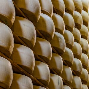 parmigiano forma