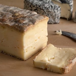 taleggio formaggio